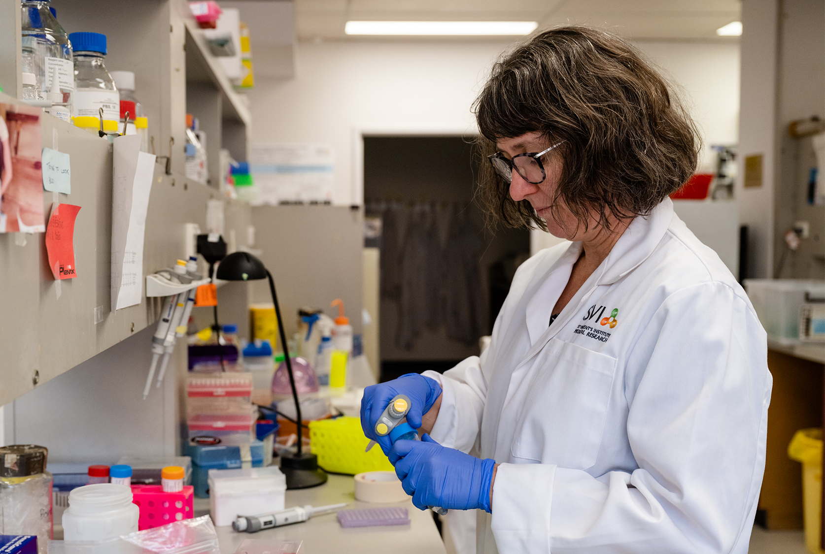 New research reveals how white blood cells protect against bone loss
